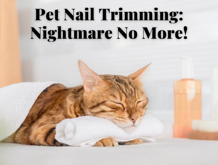 Pet Nail Trims Creekside Animal Hospital